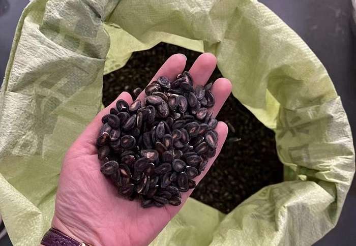 電磁炒瓜子機 電磁炒瓜子機