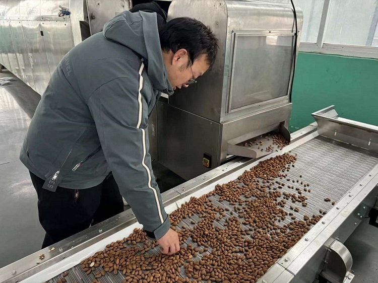 電磁炒貨機 電磁炒貨機