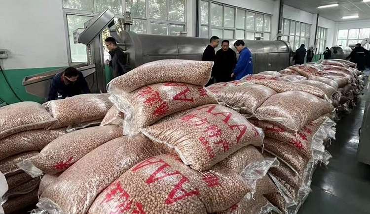 許昌智工流水線電磁炒貨機 許昌智工流水線電磁炒貨機