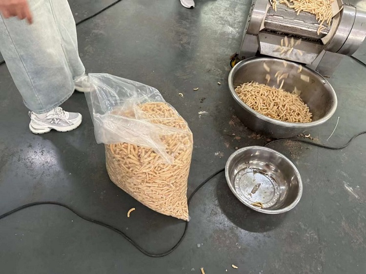 電磁炒貨設備 電磁炒貨設備